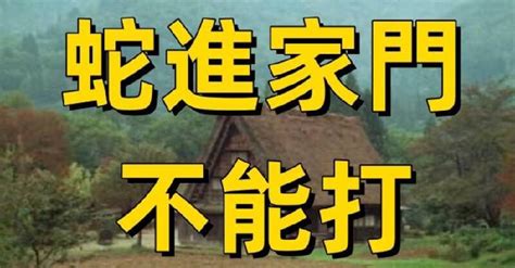 蛇進家門|討不到生活費！高雄啃老兒開車撞家門 燒整盆炭進屋險弒。